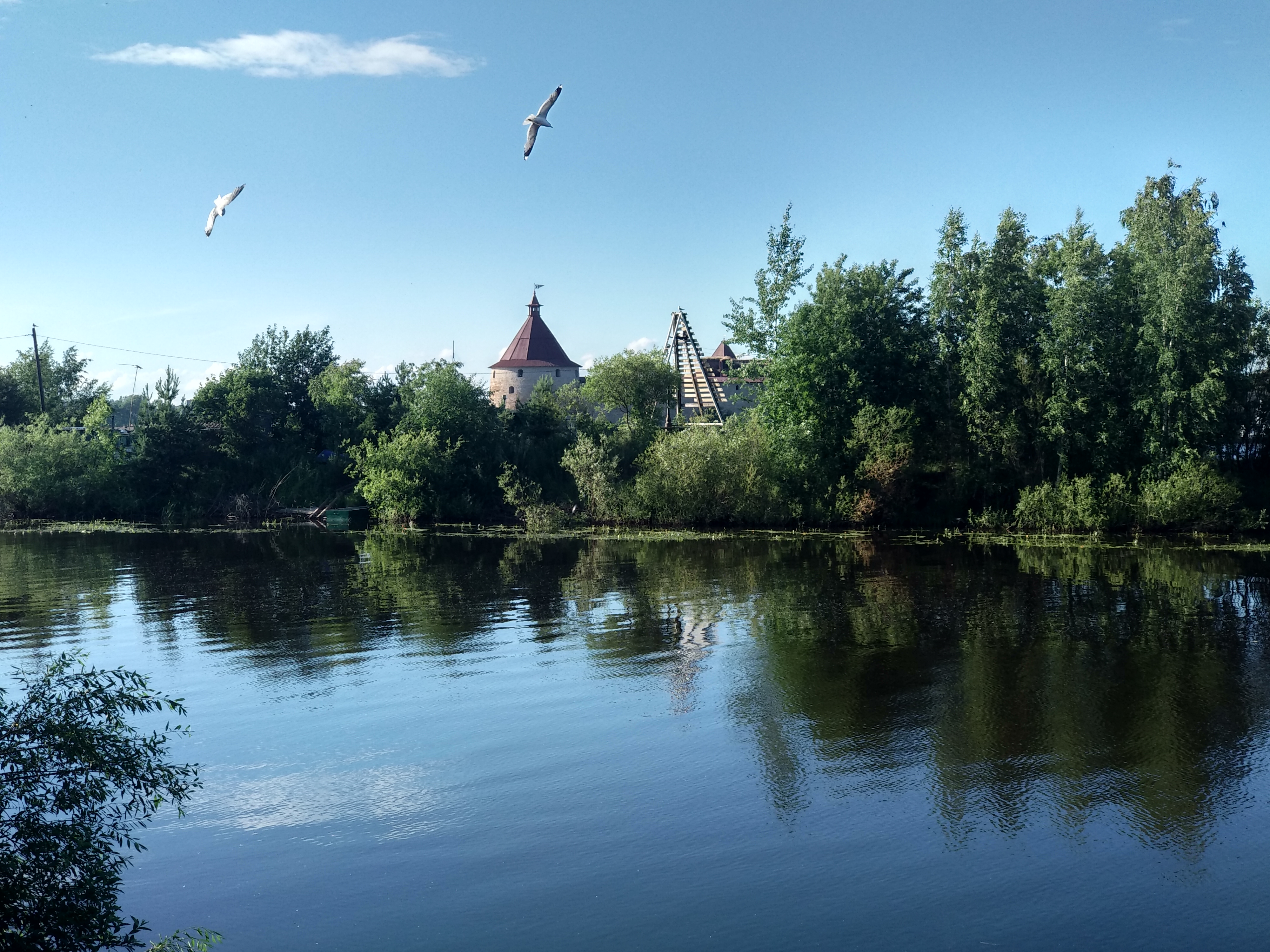 Южное Приладожье - от рождения Невы до наших дней